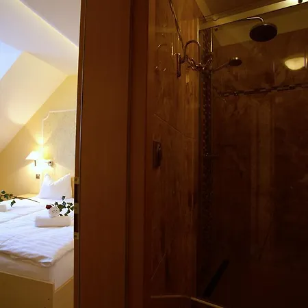 Ambiente Wellness & ホテル 4*