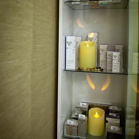 Hotel Ambiente Wellness & Karlovy Vary
